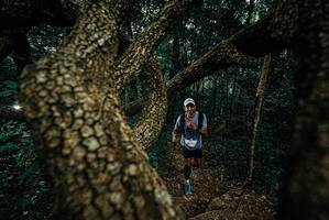 BIB: 
                            <button type="button" onclick="openModal(25697339)" class="btn btn-primary btn-sm float-right btn-popup" data-toggle="modal" data-target=".modal-high-quality">
                        <i class="fas fa-shopping-cart"></i> Add to Cart
                    </button>
                                            <button type="button" onclick="isThisMe(25697339, true)" class="btn btn-success btn-sm float-right btn-popup btn-isme hidden" data-toggle="tooltip" data-placement="bottom" title="นี่คือรูปของคุณใช่ไหม คลิกที่นี่เพื่อเอาเข้าอัลบั้ม">
                        <i class="fas fa-plus"></i> Add to album
                    </button>
                    <button type="button" onclick="isThisMe(25697339, false)" class="btn btn-warning btn-sm float-right btn-popup btn-isnotme hidden">
                        <i class="fas fa-ban"></i> Remove from album
                    </button>